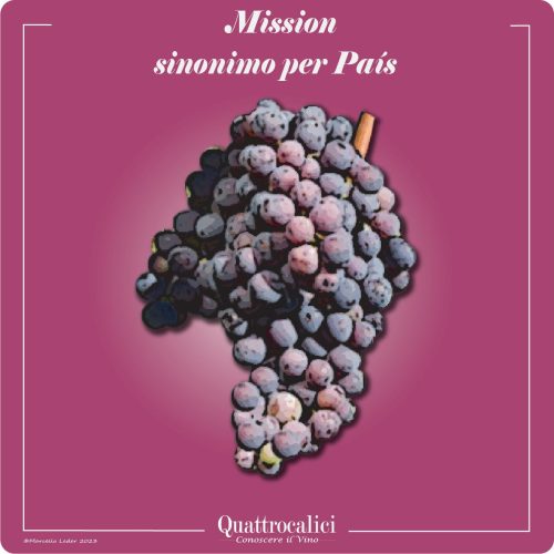 Il vitigno Missione e i suoi vini