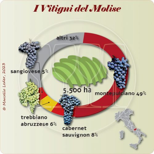 I Vitigni del Molise