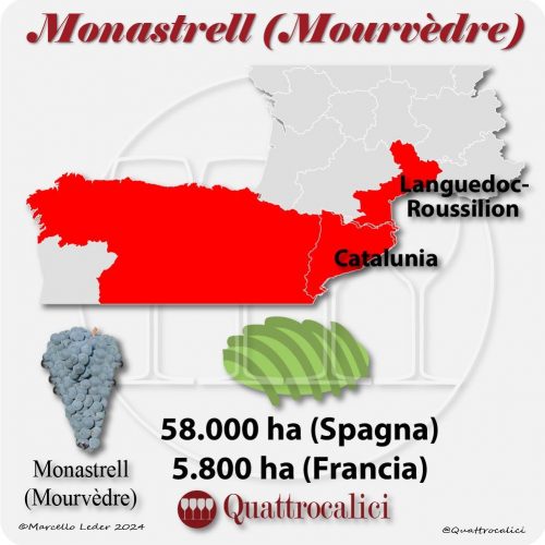 Il vitigno Monastrell in Spagna