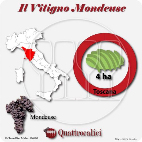 Il vitigno Mondeuse in Italia
