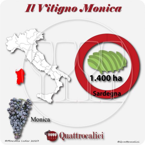 Il Vitigno Monica e la sua coltivazione in Italia