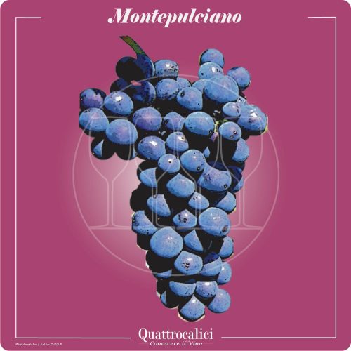 Vitigno  Montepulciano