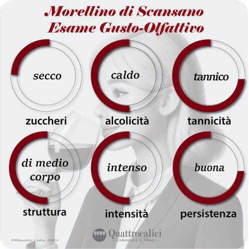 L'esame gusto-olfattivo dei vini Morellino di Scansano