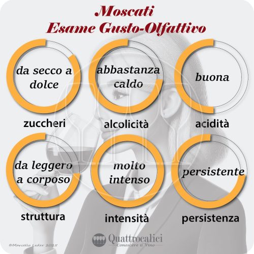 L'esame gusto-olfattivo dei vini Moscati