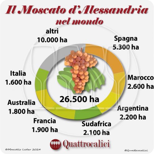 Il Moscato d'Alessandria nel mondo