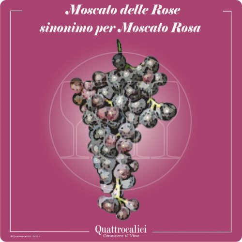 Vitigno  Moscato delle rose