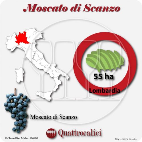 Il Vitigno Moscato di Scanzo e la sua coltivazione in Italia