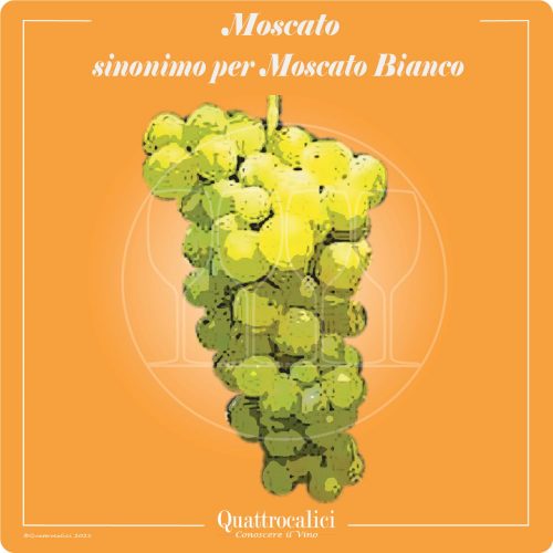 Vitigno  Moscato