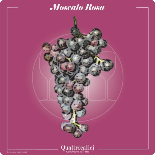 Vitigno  Moscato rosa