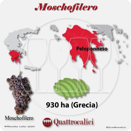Il vitigno Moschofilero in Grecia