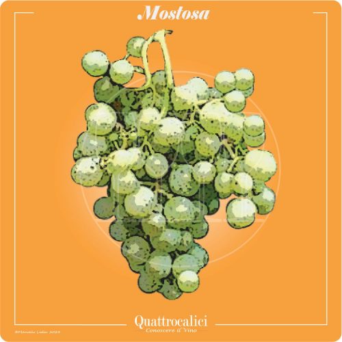 Vitigno  Mostosa
