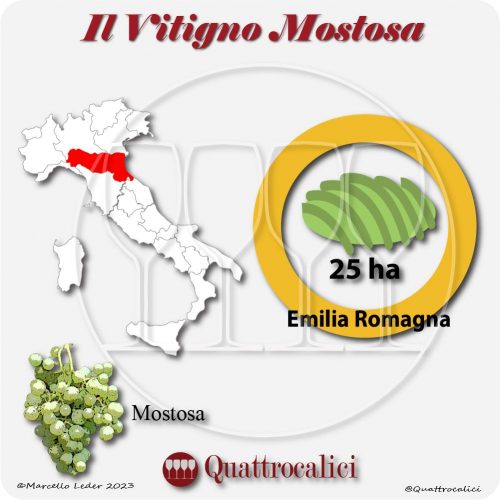 Il Vitigno Mostosa e la sua coltivazione in Italia