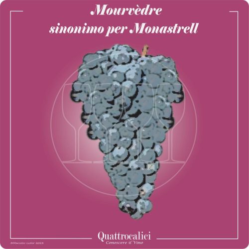 Vitigno  Mourvèdre