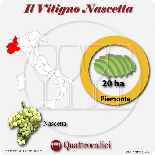 Il Vitigno Nascetta e la sua coltivazione in Italia
