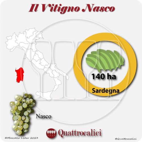Il Vitigno Nasco e la sua coltivazione in Italia