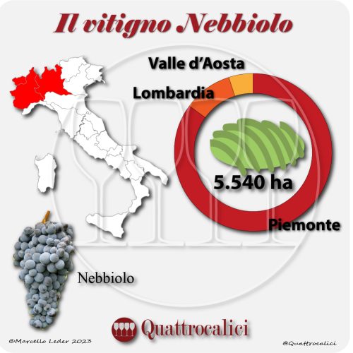 Il vitigno Nebbiolo in Italia