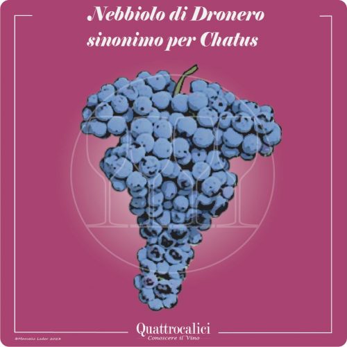 Vitigno  Nebbiolo di Dronero