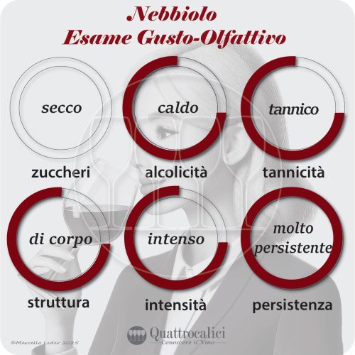L'esame gusto-olfattivo dei vini Nebbiolo