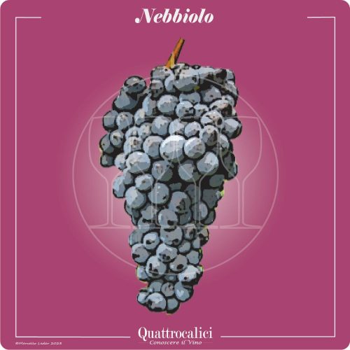 Vitigno  Nebbiolo