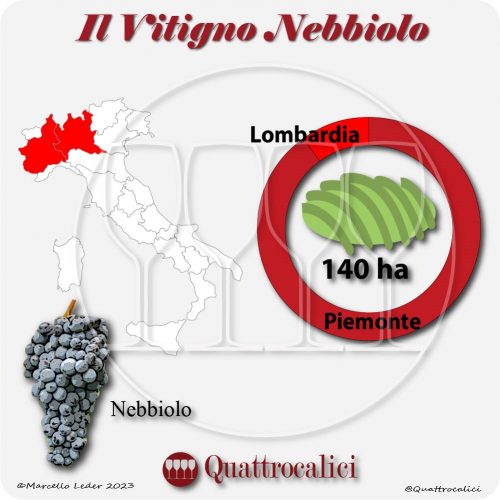 Il Vitigno Nebbiolo e la sua coltivazione in Italia