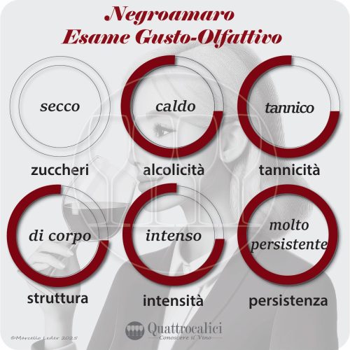 L'esame gusto-olfattivo dei vini Negroamaro