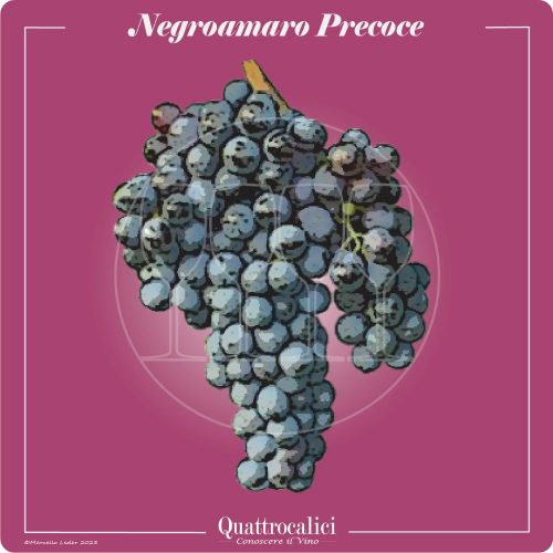 Vitigno  Negroamaro precoce