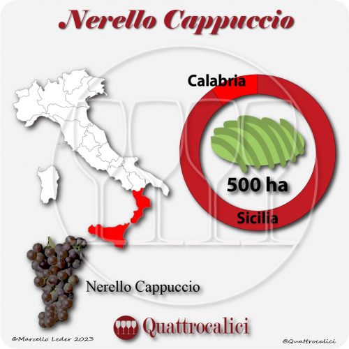 Il Vitigno Nerello Cappuccio e la sua coltivazione in Italia