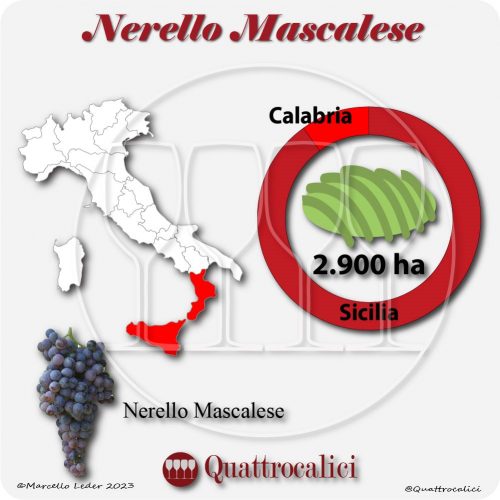 Il Vitigno Nerello Mascalese e la sua coltivazione in Italia