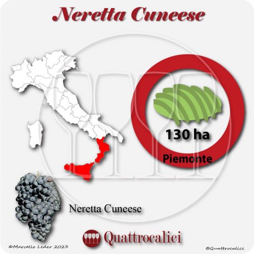 Il Vitigno Neretta Cuneese e la sua coltivazione in Italia