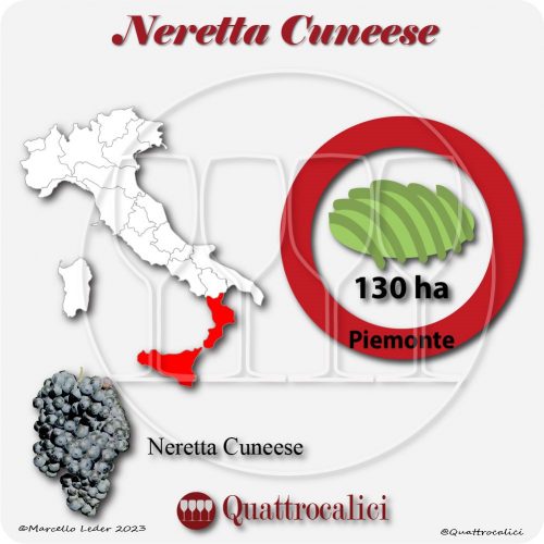 Il Vitigno Neretta Cuneese e la sua coltivazione in Italia