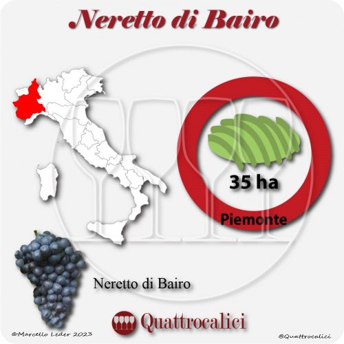 Il Vitigno Neretto di Bairo e la sua coltivazione in Italia