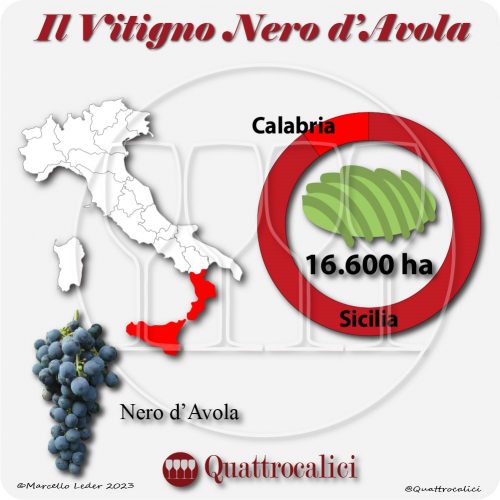 Il Vitigno Nero d’Avola e la sua coltivazione in Italia