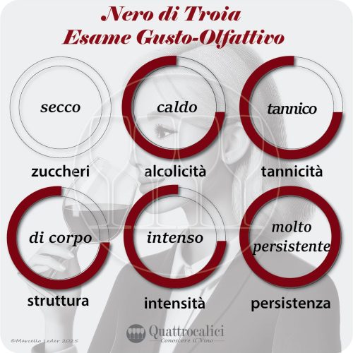 L'esame olfattivo dei vini Nero di Troia