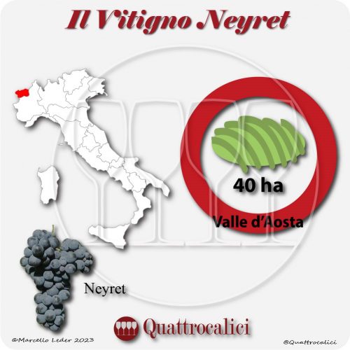 Il Vitigno Neyret e la sua coltivazione in Italia