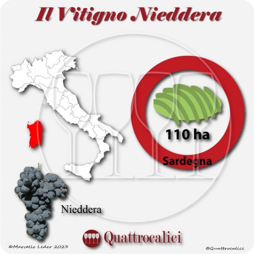 Il Vitigno Nieddera e la sua coltivazione in Italia
