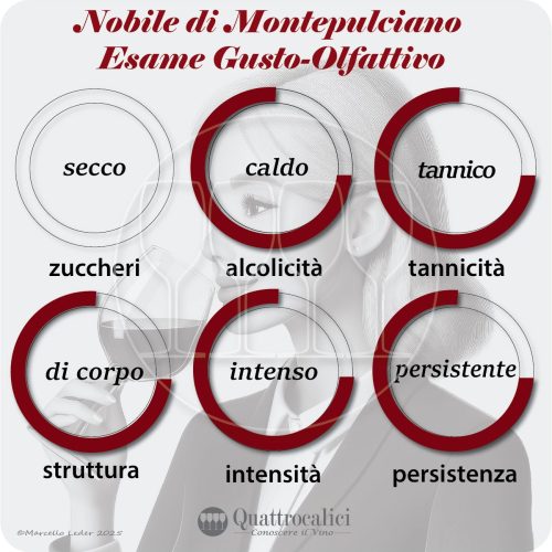 L'esame gusto-olfattivo dei vini Nobile di Montepulciano