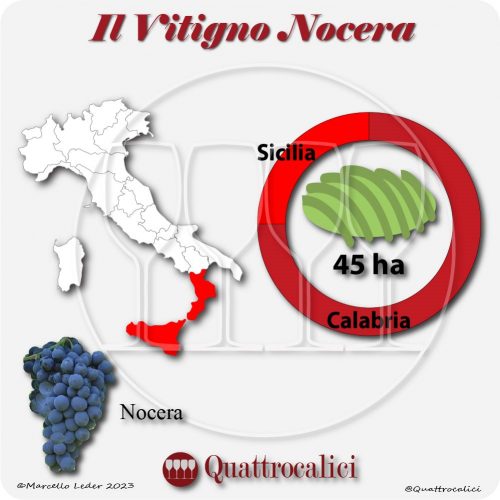 Il Vitigno Nocera e la sua coltivazione in Italia