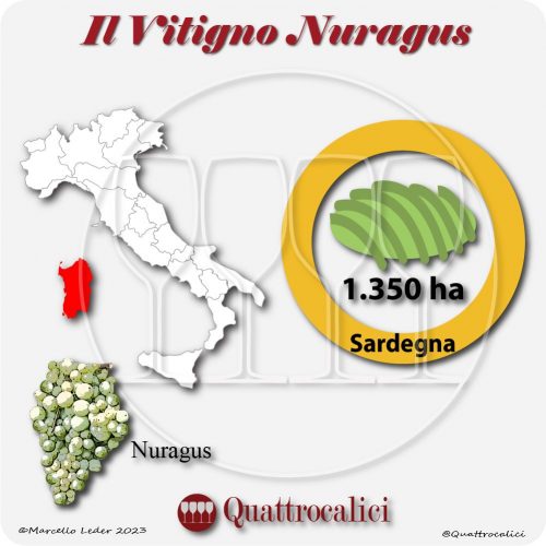 Il Vitigno Nuragus e la sua coltivazione in Italia