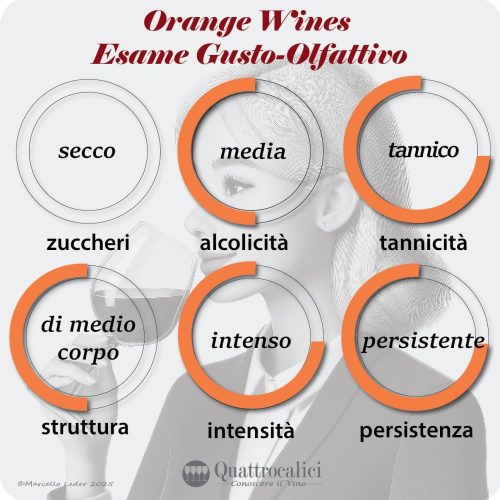L'esame gusto-olfattivo degli Orange Wines