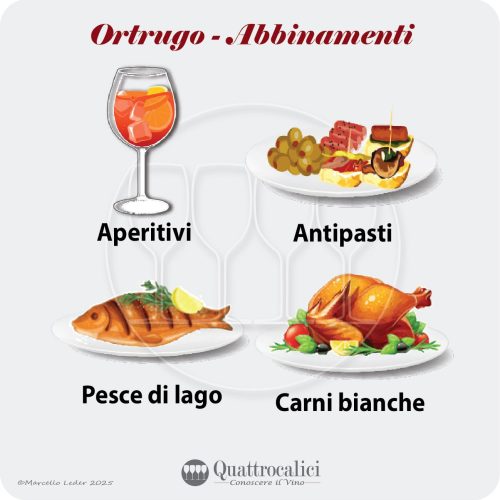 Gli abbinamenti al cibo dei vini Ortrugo
