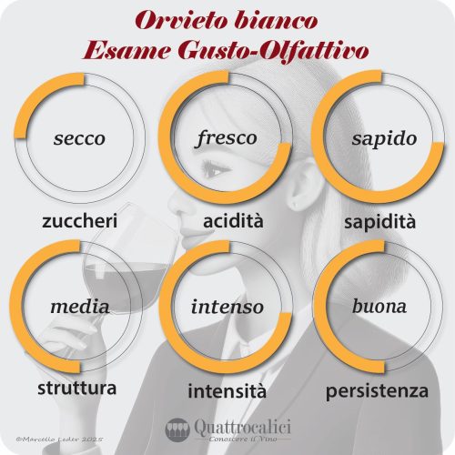 L'esame gusto-olfattivo dei vini Orvieto bianco
