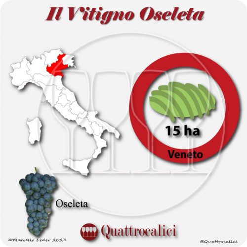 Il Vitigno Oseleta e la sua coltivazione in Italia