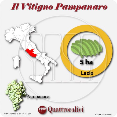 Il Vitigno Pampanaro e la sua coltivazione in Italia