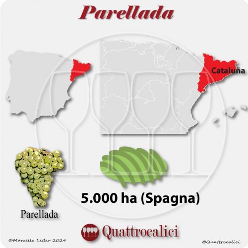 Il vitigno Parellada in Spagna