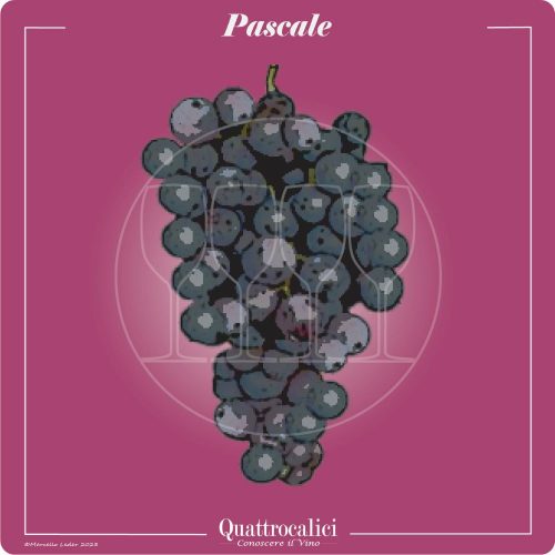 Vitigno  Pascale