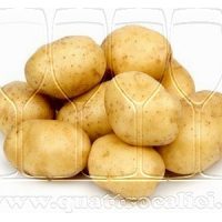 Patata di Bologna DOP