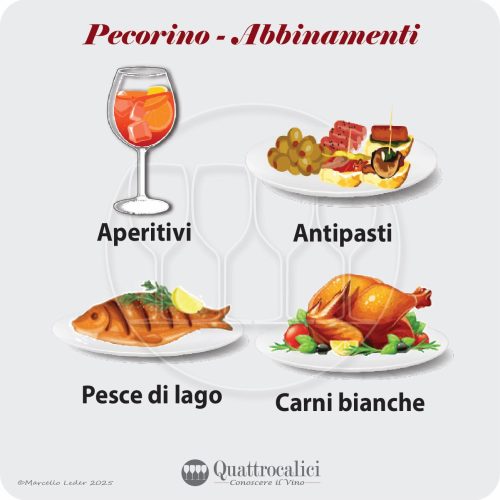 Gli abbinamenti al cibo dei vini Pecorino