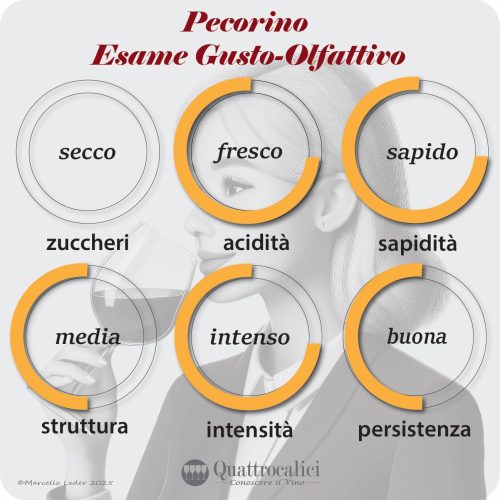 L'esame gusto-olfattivo dei vini pecorino