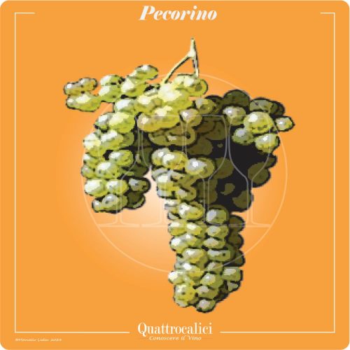 Vitigno  Pecorino