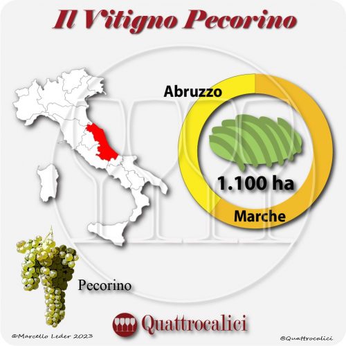 Il Vitigno Pecorino e la sua coltivazione in Italia